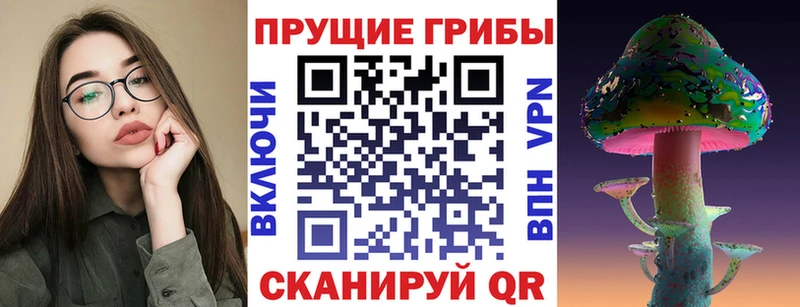 Псилоцибиновые грибы Psilocybe цены Верея